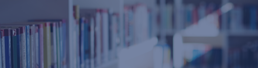 비전과 정책 비주얼 이미지